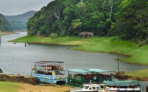 Thekkady-Day-1