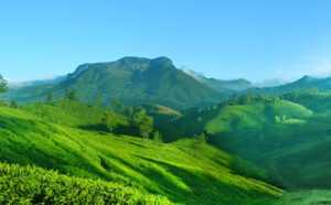 Munnar-Day-2