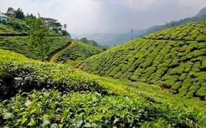 Munnar-Day1
