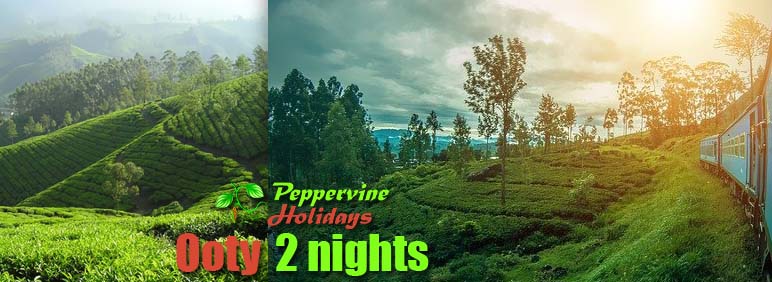 Ooty 2 nights